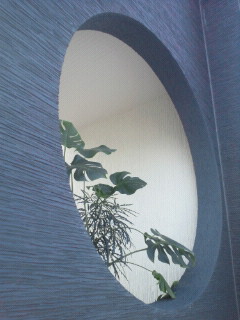 e0150849_1293346.jpg
