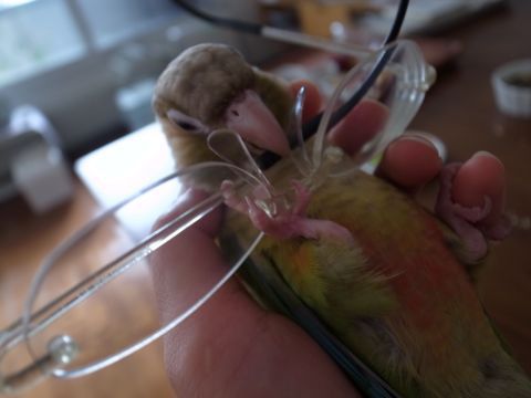 f0149057_1550192.jpg