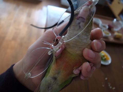 f0149057_15501976.jpg