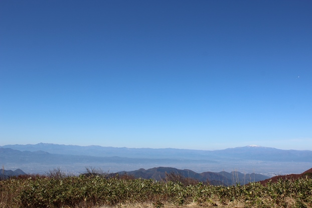 e0239458_2050524.jpg
