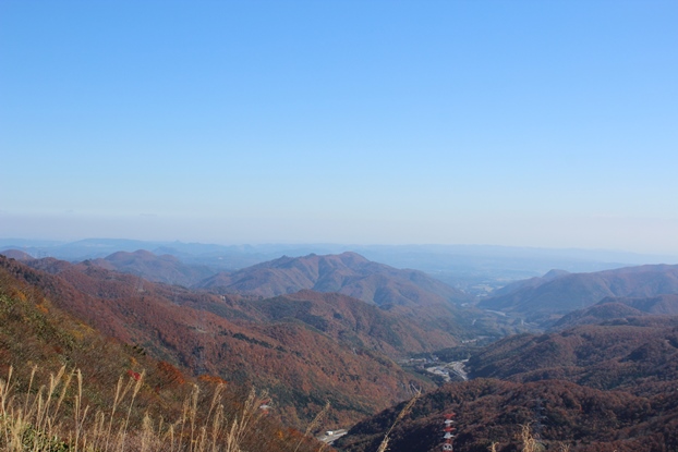 e0239458_20514066.jpg