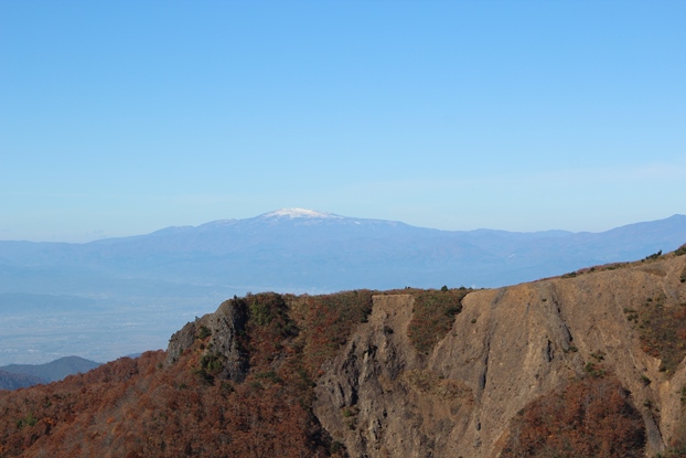 e0239458_2053656.jpg