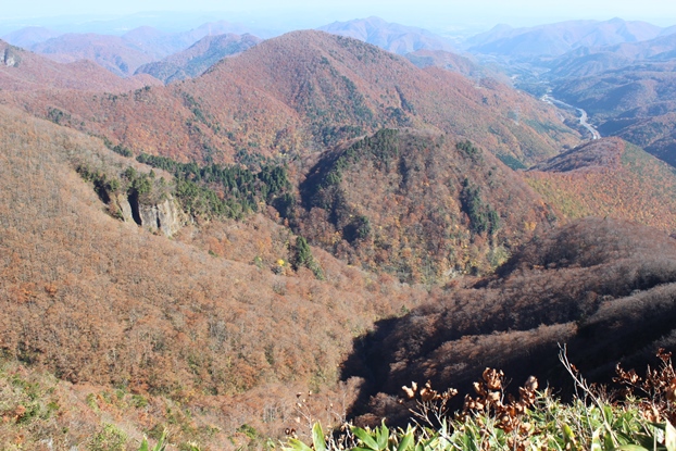 e0239458_21262152.jpg