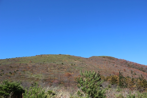 e0239458_21294330.jpg