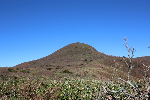 e0239458_213392.jpg