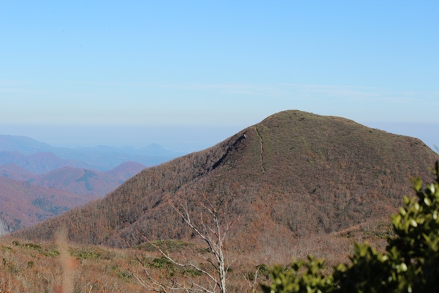 e0239458_2165768.jpg