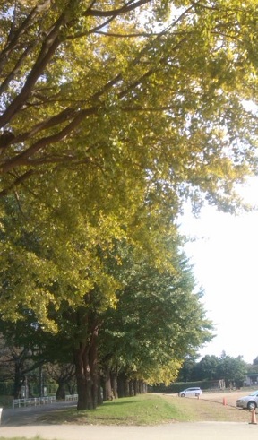 e0271461_17154140.jpg