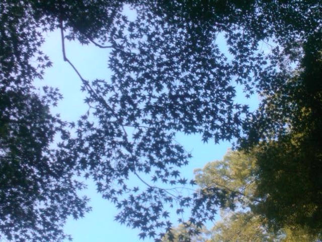 e0271461_17155295.jpg