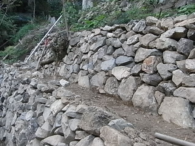 a0146070_7163769.jpg