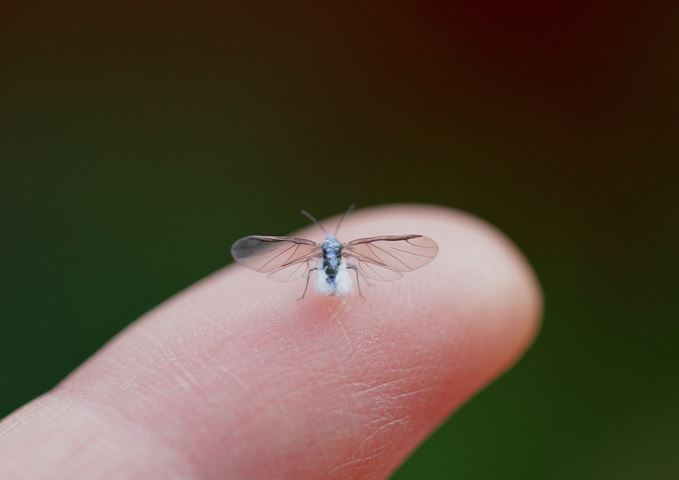 e0326479_10223056.jpg