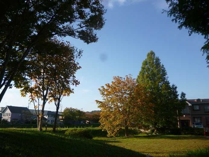 d0129083_15331822.jpg
