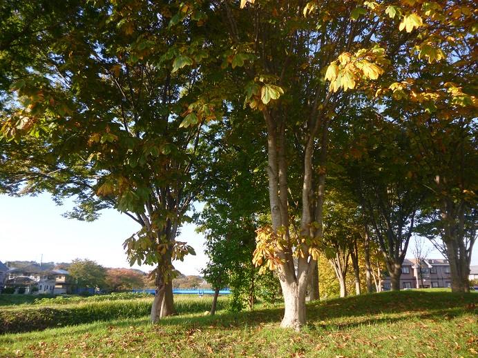 d0129083_15342376.jpg