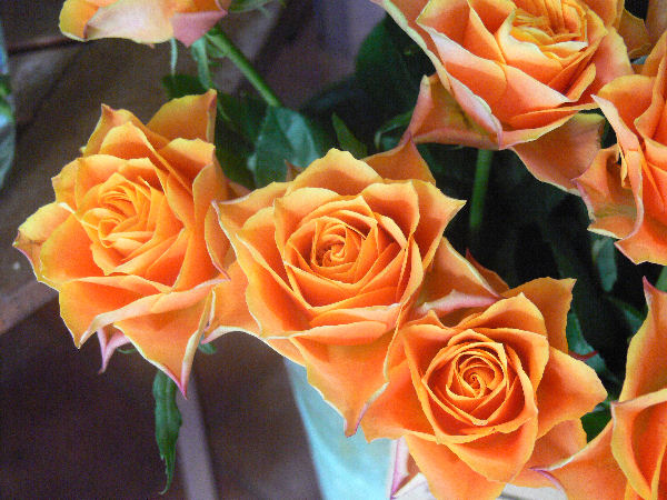 e0140986_1153195.jpg