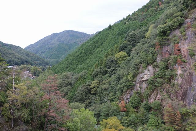 b0190092_0241477.jpg