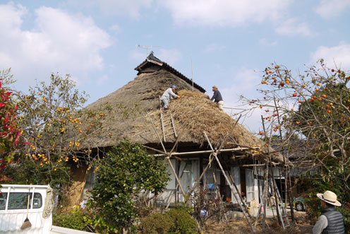 f0222692_1913211.jpg