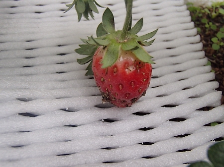 f0033598_18504283.jpg