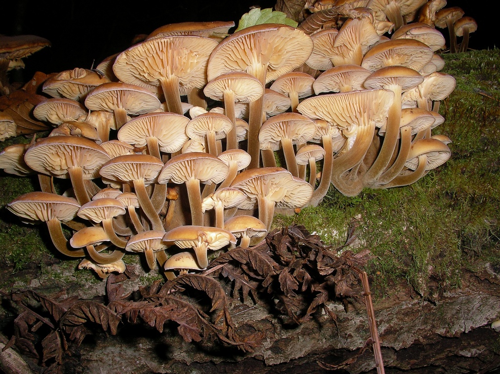 f0220698_182028.jpg