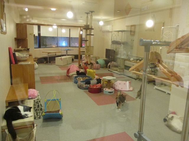 f0202703_2310071.jpg