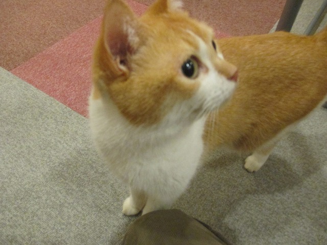 f0202703_23101756.jpg