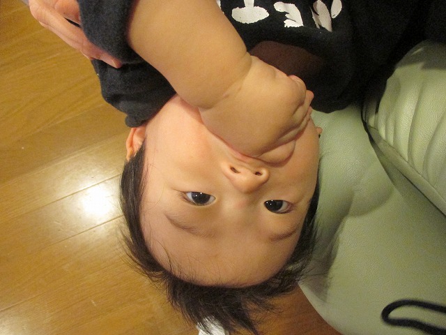 f0202703_23142815.jpg