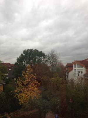 f0248903_17524034.jpg