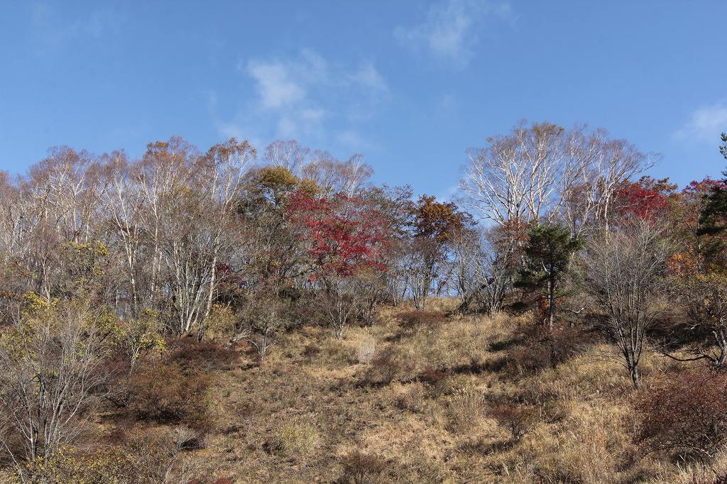 a0188405_20225132.jpg