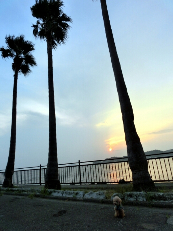 c0110906_16384520.jpg