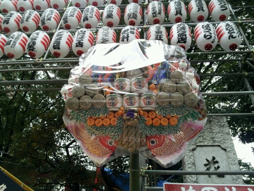 a0183009_843210.jpg