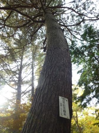 b0198109_20545742.jpg