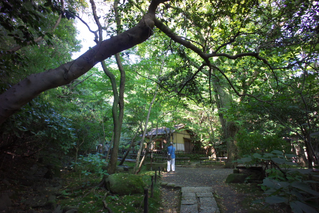 d0143011_20401269.jpg