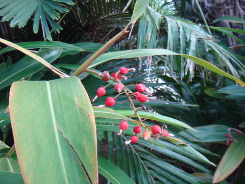 a0019212_142487.jpg