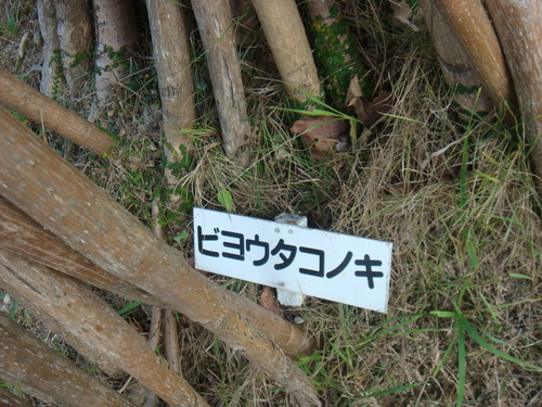 a0019212_1445383.jpg
