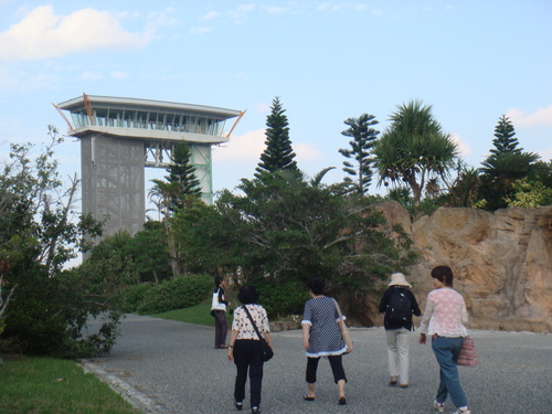 a0019212_14668.jpg