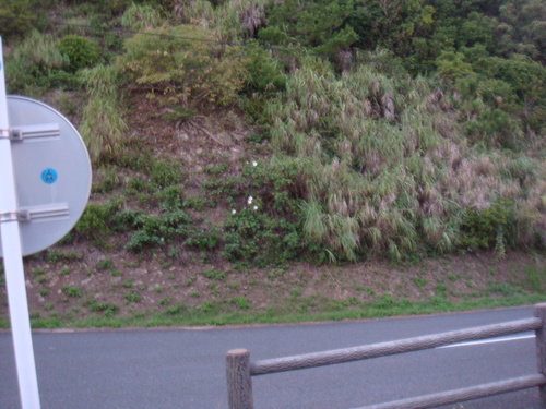 a0019212_1471833.jpg