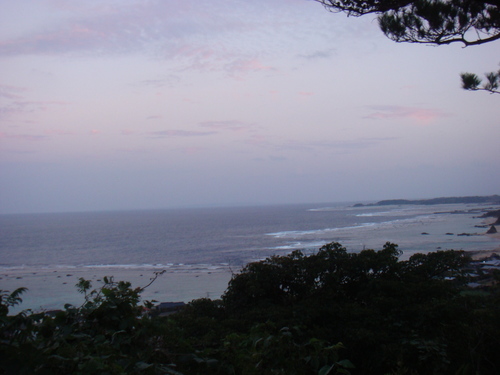 a0019212_1473849.jpg