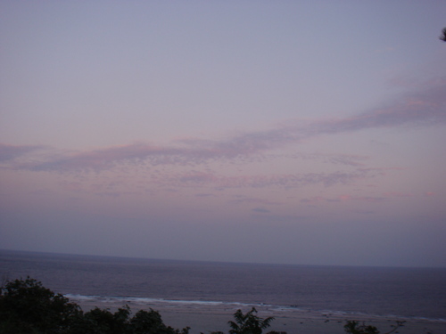 a0019212_1473865.jpg