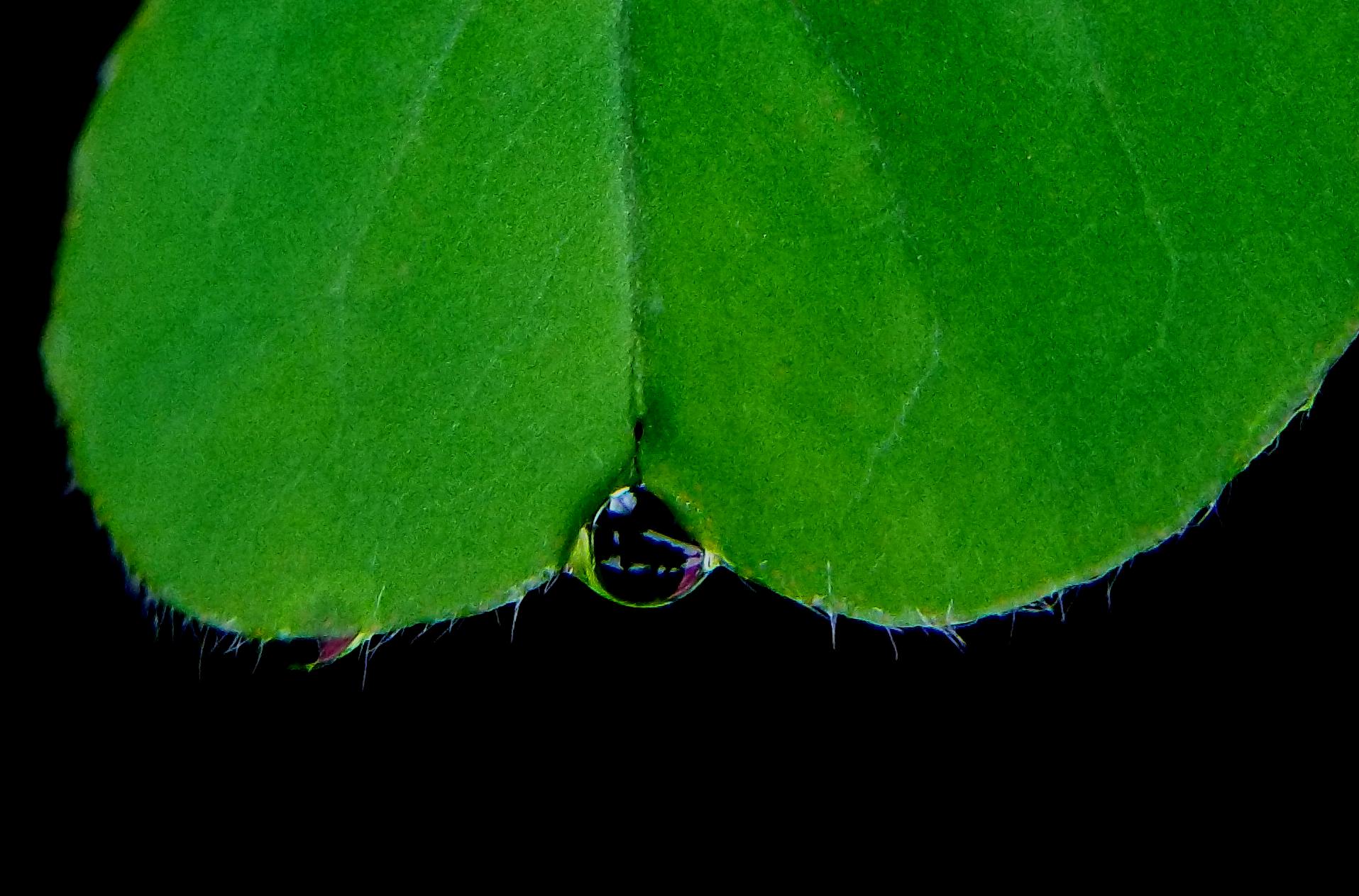 d0053616_11505663.jpg