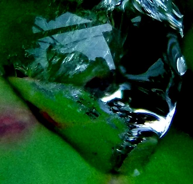 d0053616_11515916.jpg