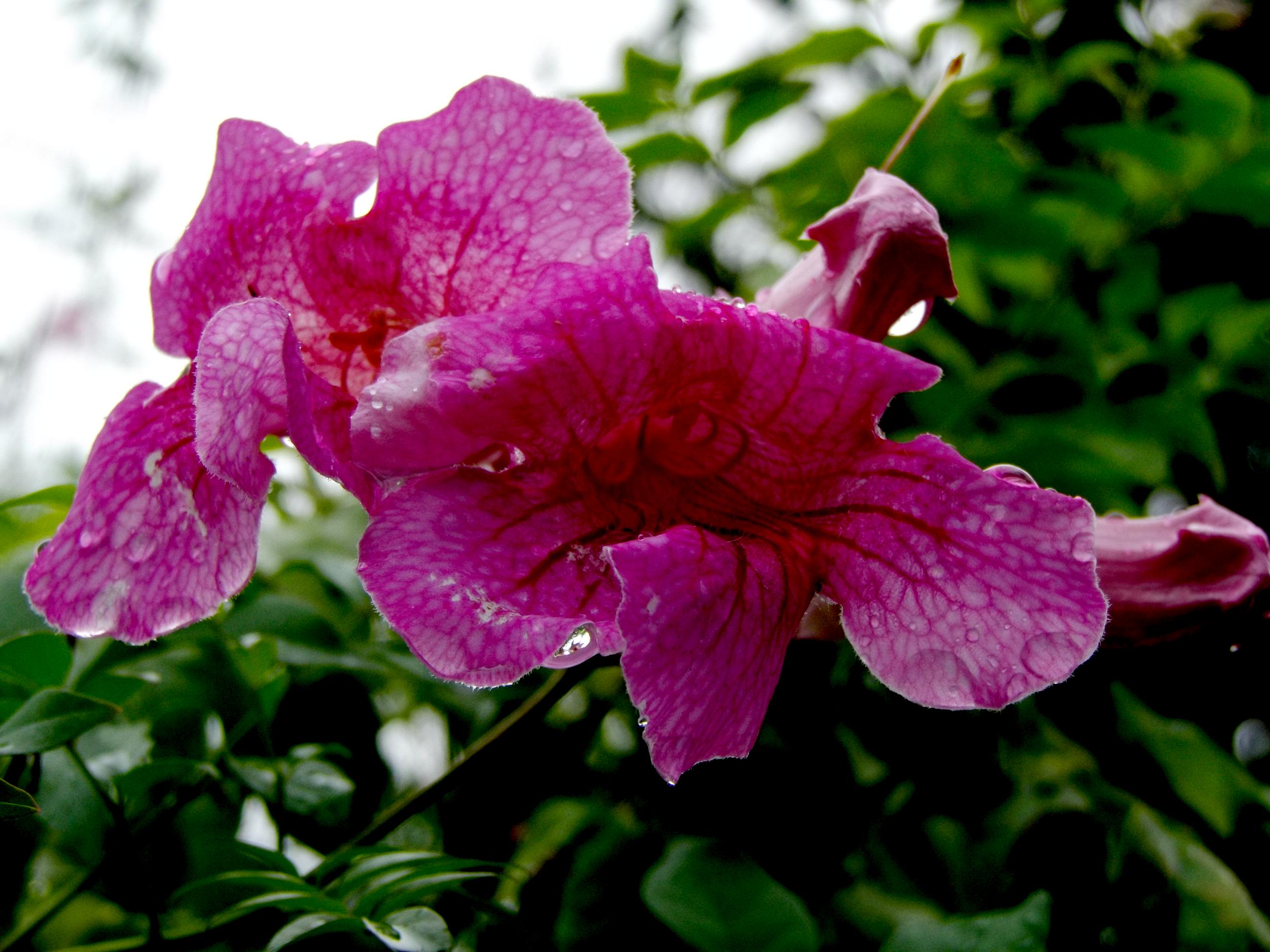 d0053616_1445617.jpg