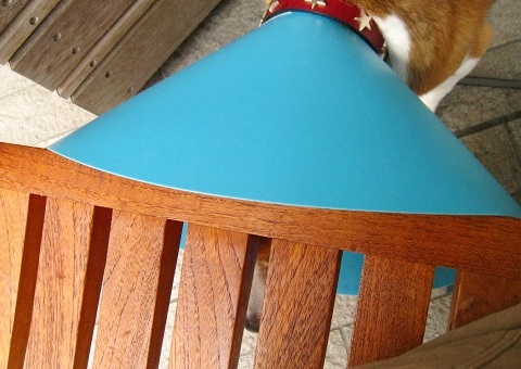 c0084117_21171955.jpg