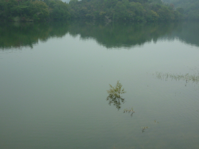 d0178017_23164420.jpg