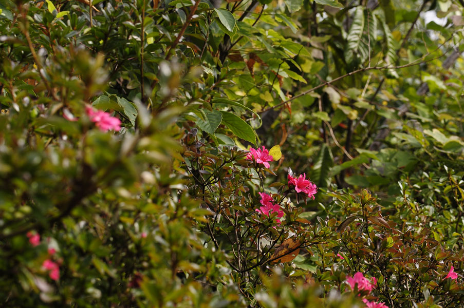 f0206417_1951338.jpg