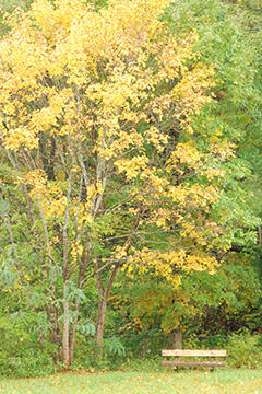 b0259218_2316668.jpg