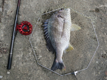 f0031423_21181049.jpg