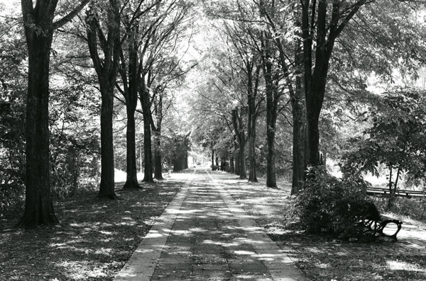 f0182924_23145174.jpg