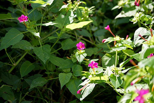 c0184125_2249593.jpg