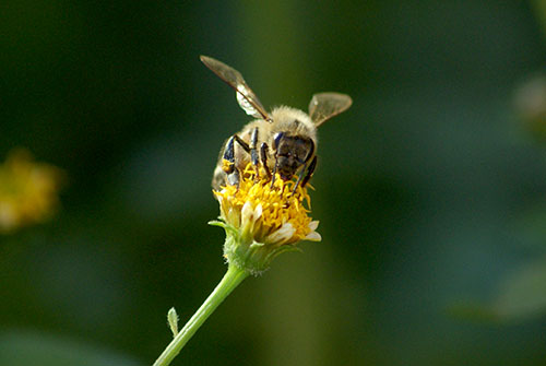 c0184125_22505567.jpg