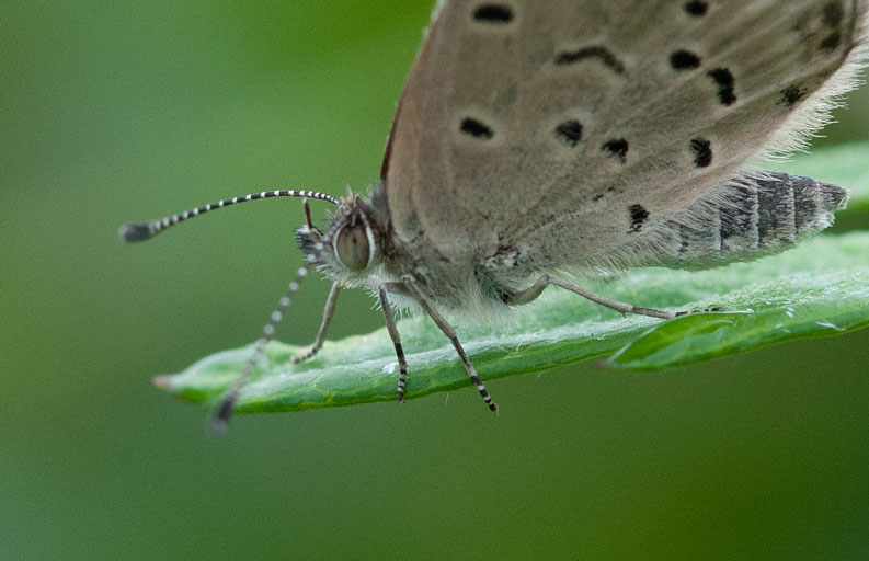 a0126632_18362573.jpg