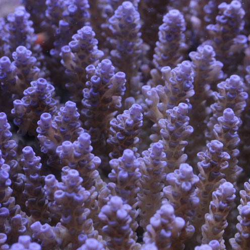 d0221436_2313972.jpg
