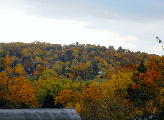 a0224537_5183853.jpg